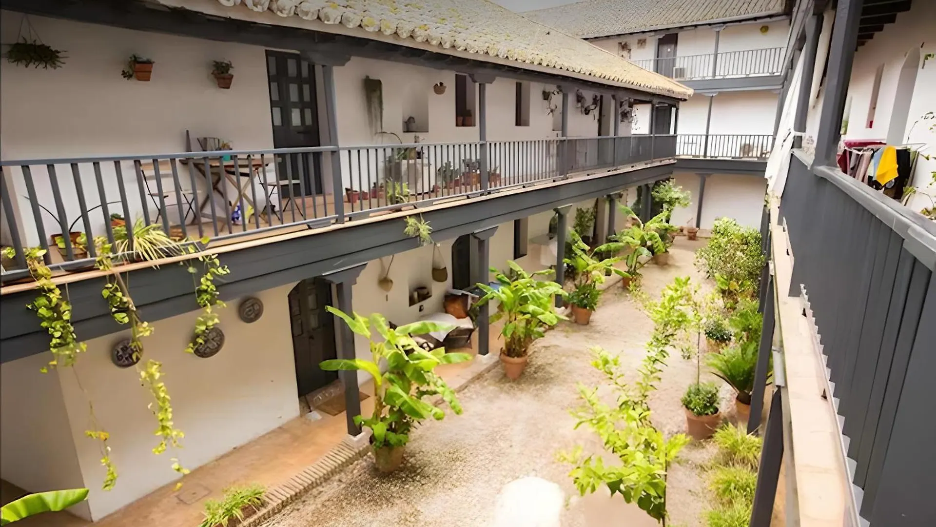 Apartment Apto En Historico Patio Andaluz Seville Spain