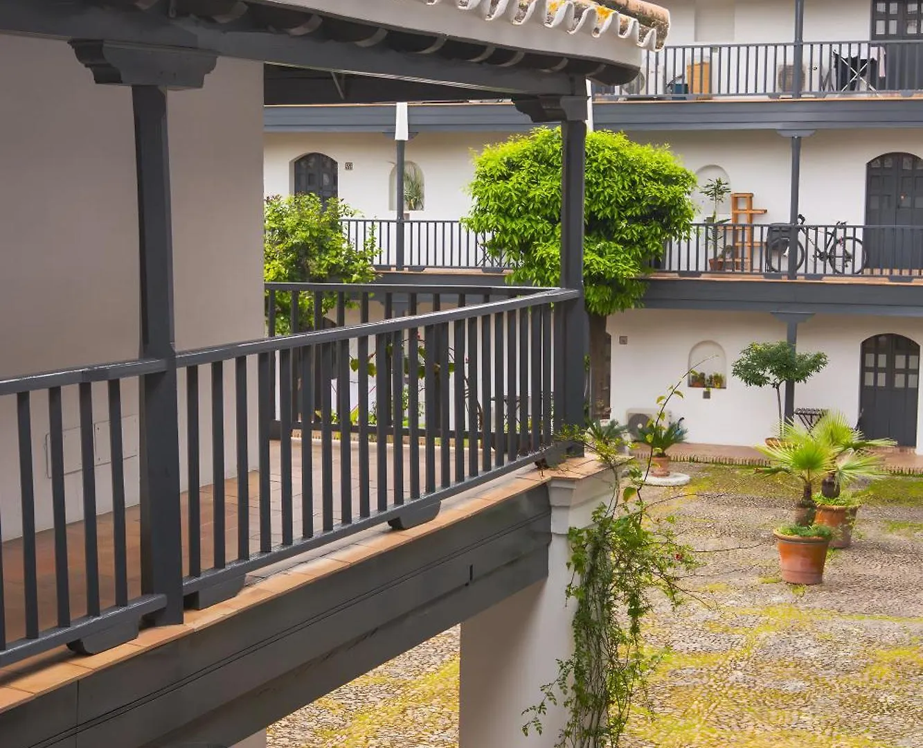 Apartment Apto En Historico Patio Andaluz Seville